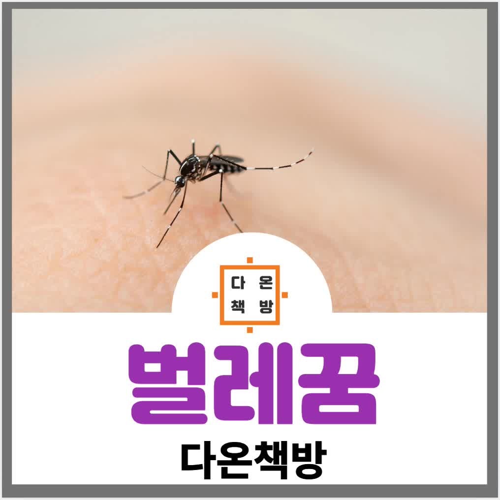 벌레꿈, 왜 이런 장면을 꾸는 걸까?