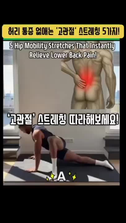  만성 허리 통증? 원인은 딱 하나! 골반스트레칭으로 잡는 홈 재활운동 루틴 공개