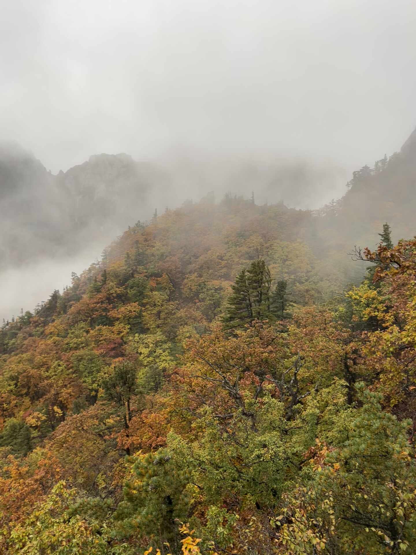 설악산 등산일지 | 설악산 공룡능선 당일치기 소요시간 소공원 비선대 마등령삼거리 코스, ....
