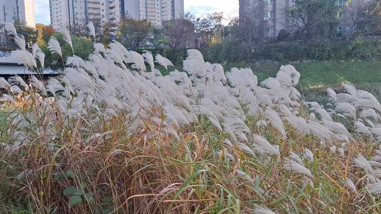  가을이 들려주는 소리