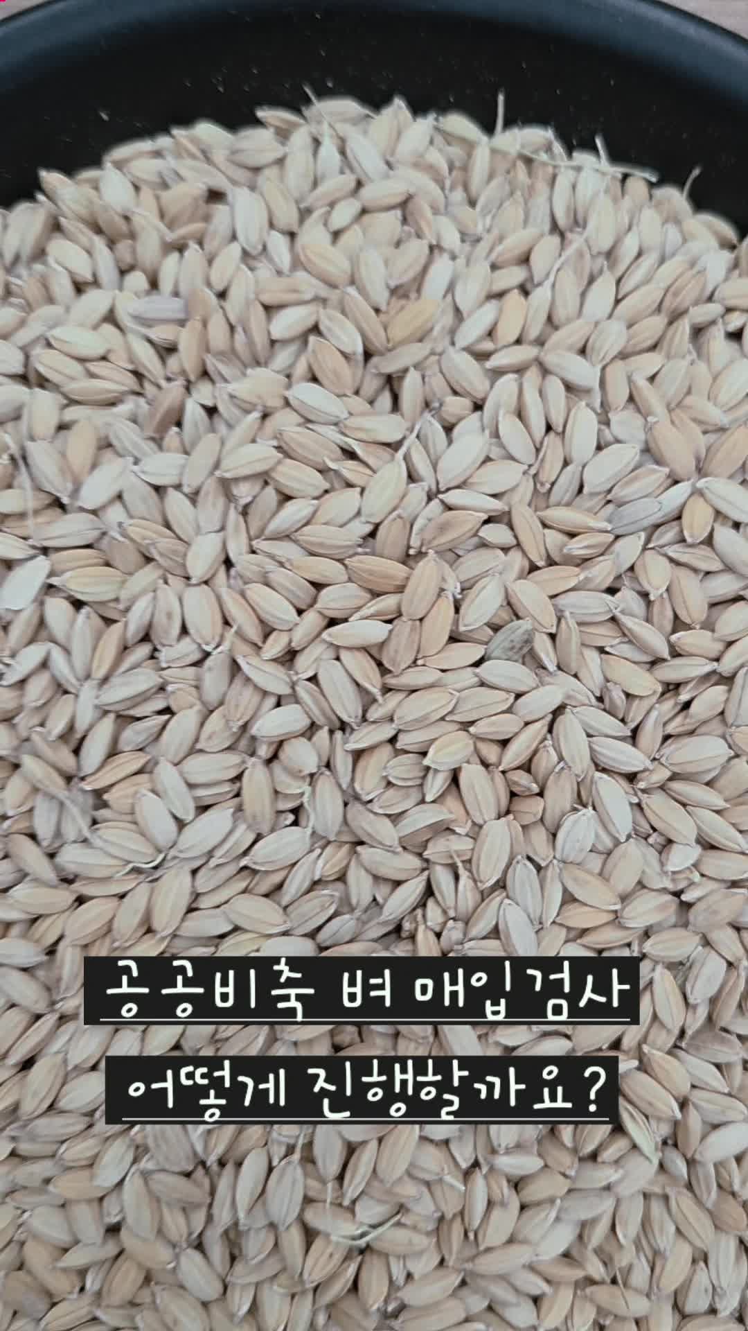 (전남지원)공공비축벼 매입검사 어떻게 진행할까요?