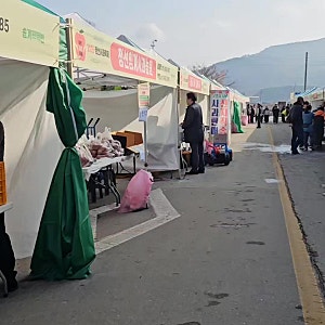 임계사과축제 황금농원 사과 판매 도왔어요
