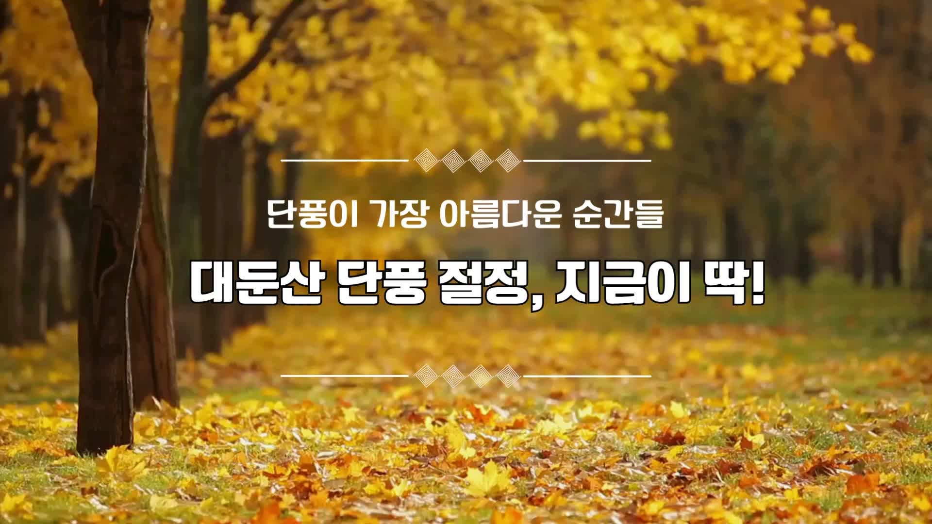 대둔산 단풍 절정시기 2025｜11월 10일 싼타의 실시간 현장 기록