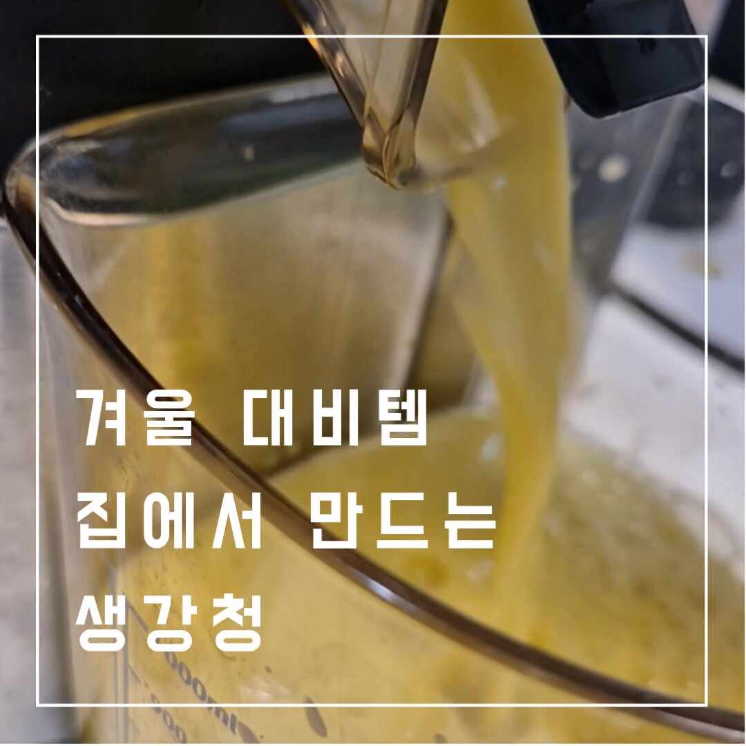 착즙 생강청 만들기 휴롬으로 생강 갈아서 청만들기