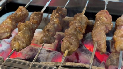 세종 양꼬치 고민 끝, 한성양꼬치 한 번 가면 왜 단골 되는지 아는 솔직후기