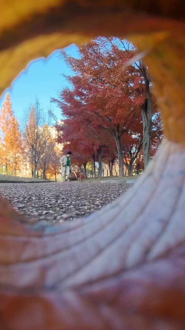  사진 찍기 좋은 날, 율하근린공원 강아지 산책