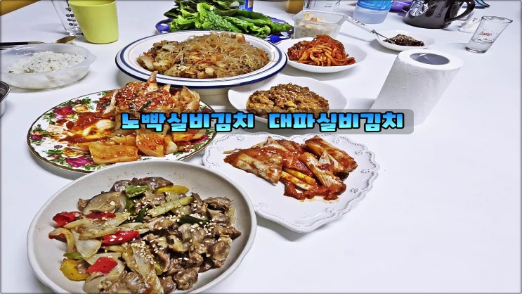  노빡실비김치 실비대파김치 계속땡기는맛있게매운맛 강력 추천
