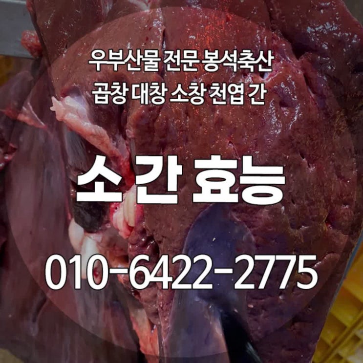 소간 효능 칼로리 영양성분 손질법 한우 생간 부산물 파는곳 : 네이버 블로그