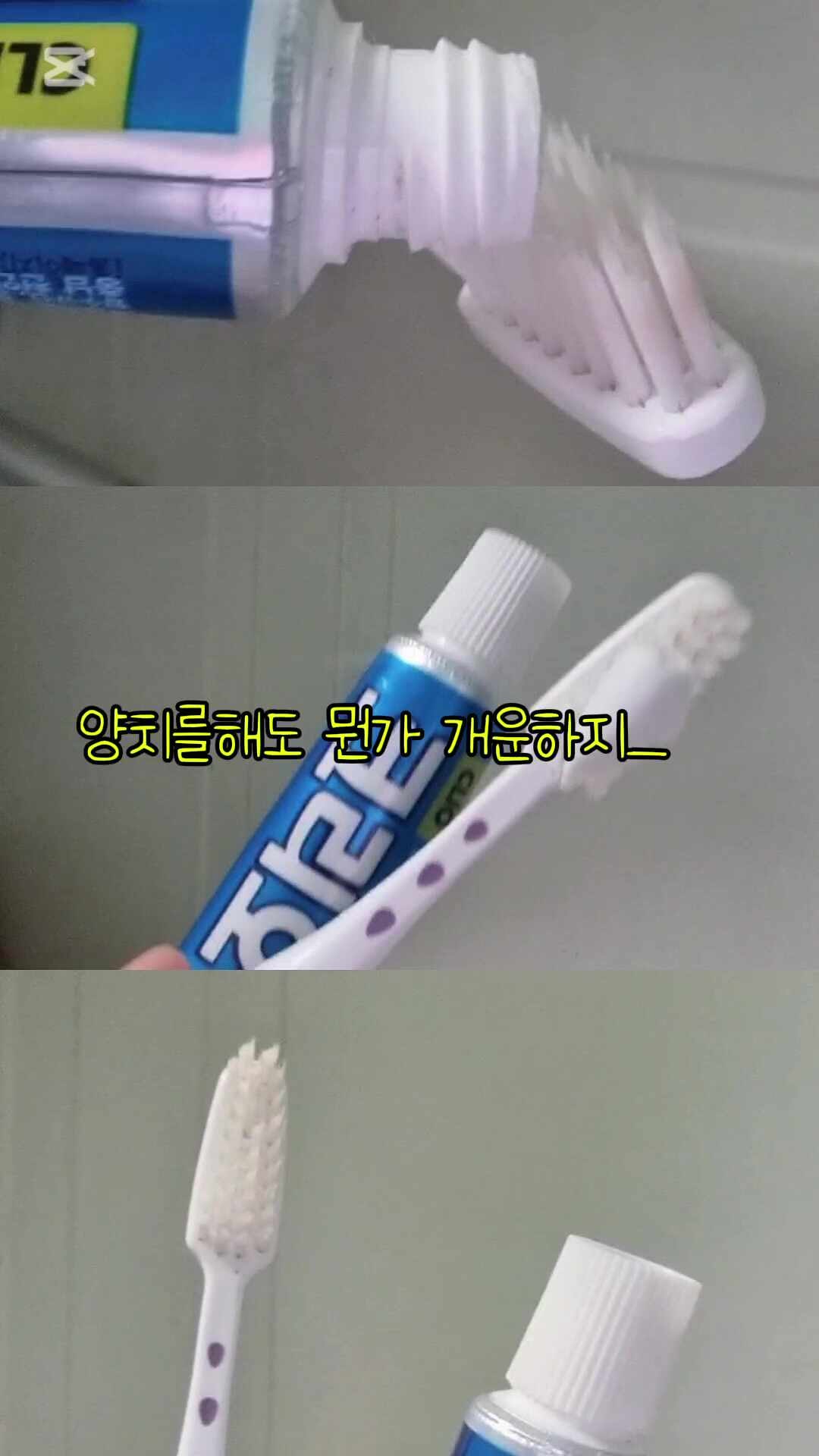 구강유산균 추천템 찾는다면? 뉴트원 덴마크 구강유산균 솔직 후기