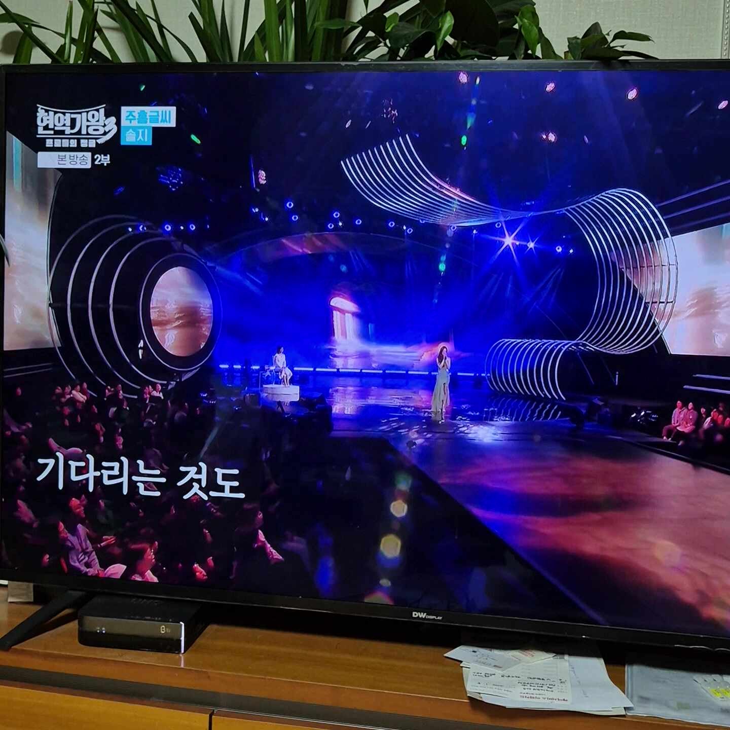 현역 가왕 3, 가수, 뮤지컬 배우, 교수 솔지