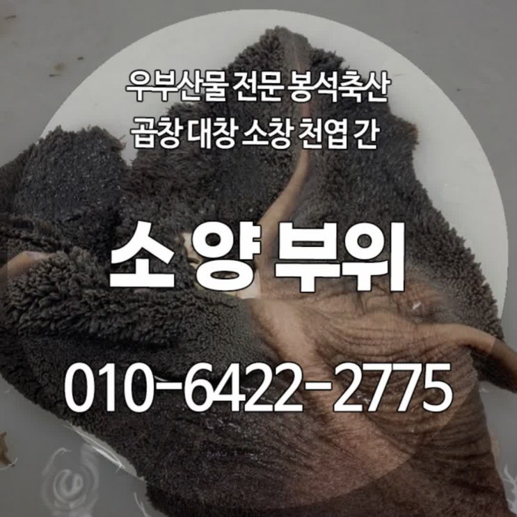 소 양 부위 손질법 양곰탕 재료 마장동 한우시장 파는곳 : 네이버 블로그