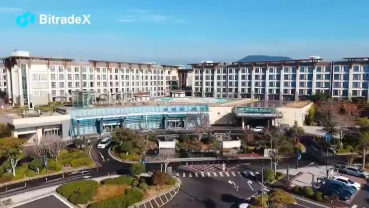  BitradeX(비트레이드엑스)"제주도 컨퍼런스 행사" 내용요약