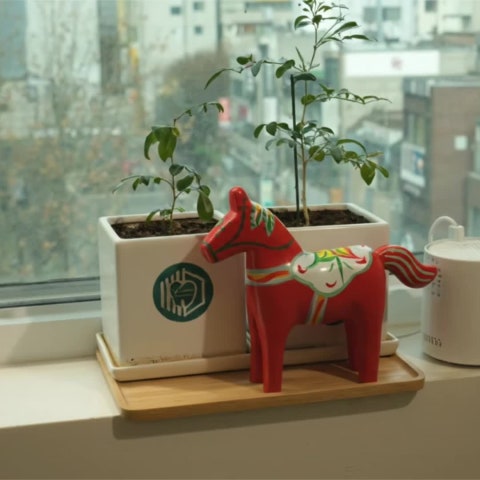 붉은 말의 역동적인 기운을 담아