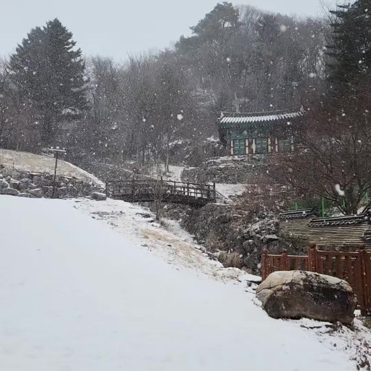  [등산 기록] 한겨울 설경을 즐기는 덕유산 등산코스(구천동탐방지원센터-백련사-향적봉-설천봉)