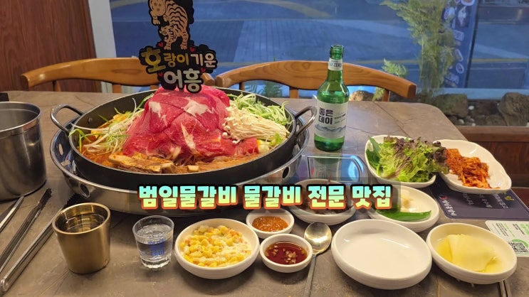  범일역맛집은 범일물갈비 진시장근처맛집 소고기 소갈비 먹방