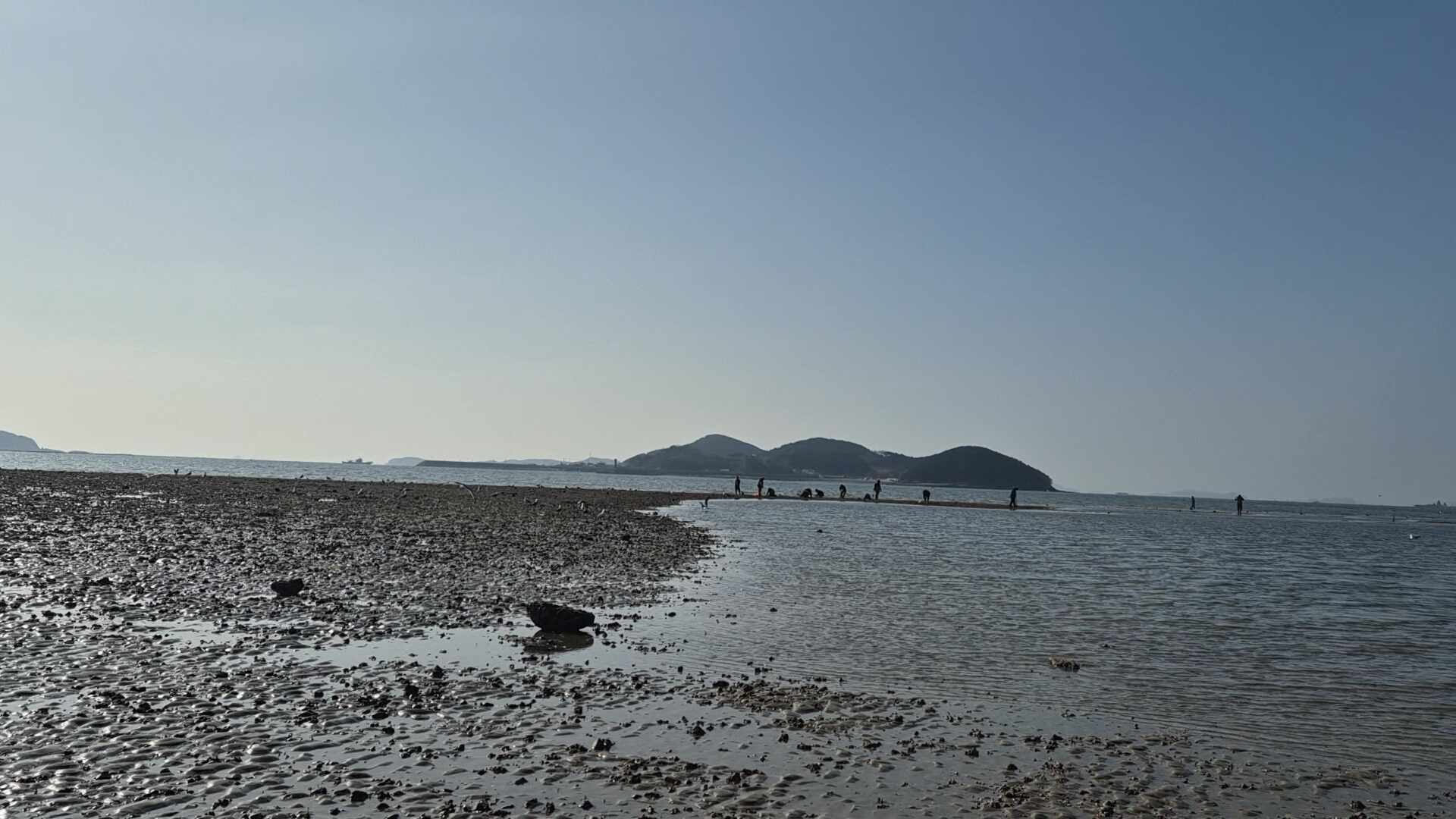 태안 안면도 해루질 여행기, 바람아래해수욕장 첫 도전 후기