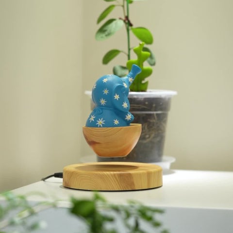 공중부양 화분. 절반의 성공.