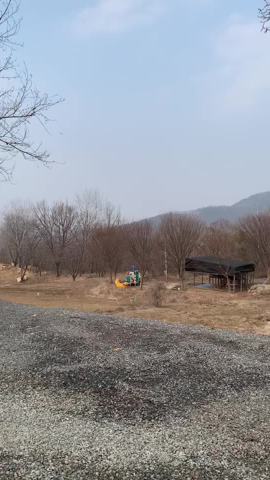 산머루농원캠핑장(2026.02.14~16)