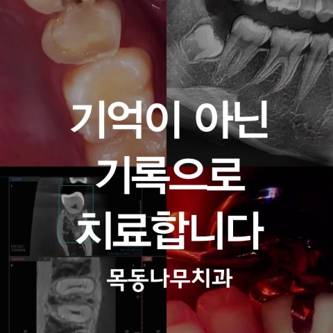 기억이 아닌 기록으로 치료합니다.