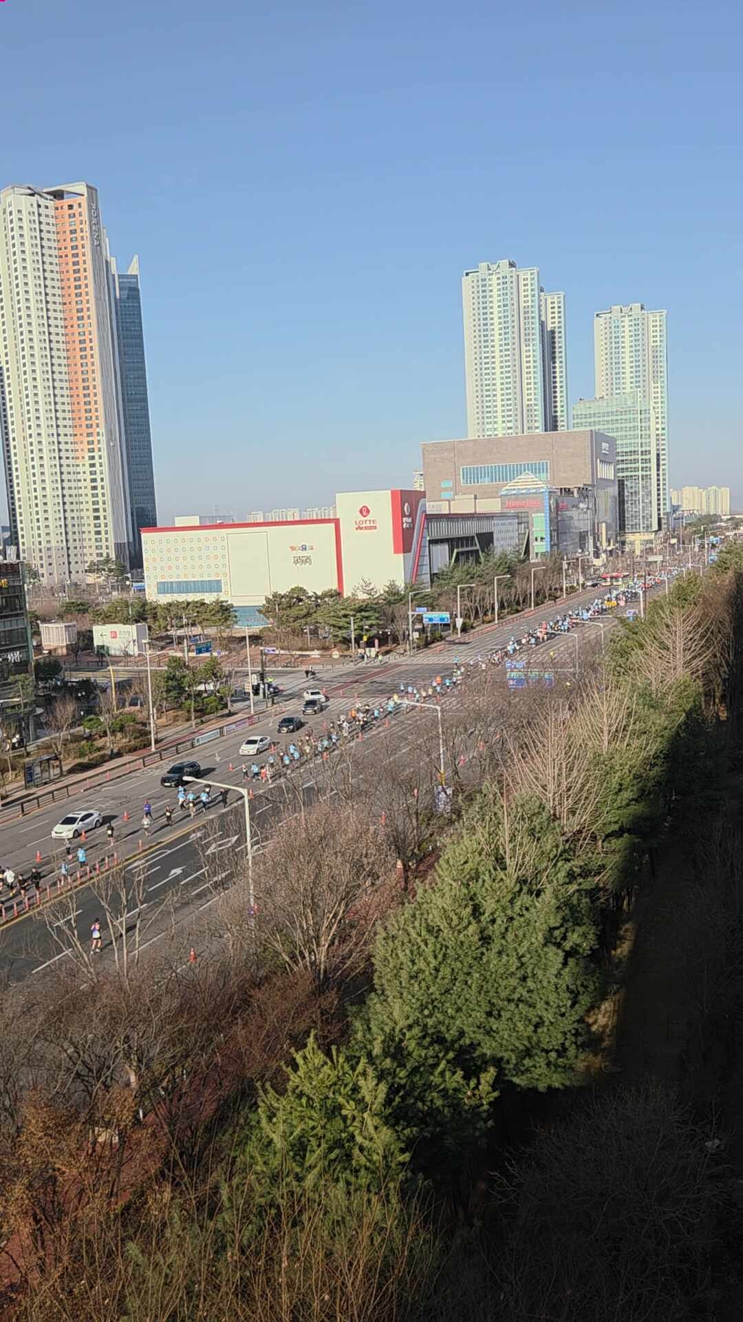 고양시 마라톤 대회