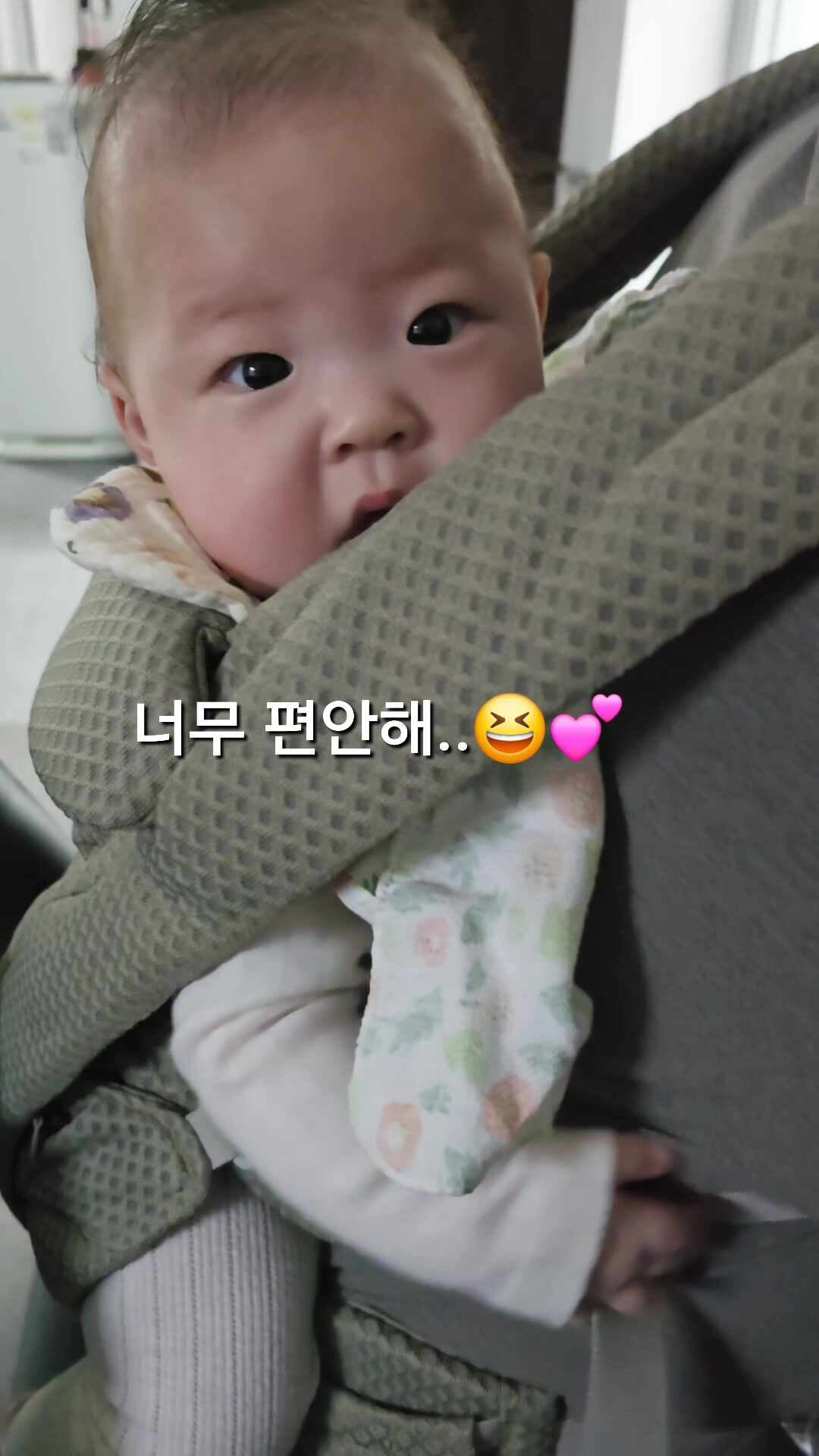 에르고 베이비 옴니 디럭스 아기띠 사용후기