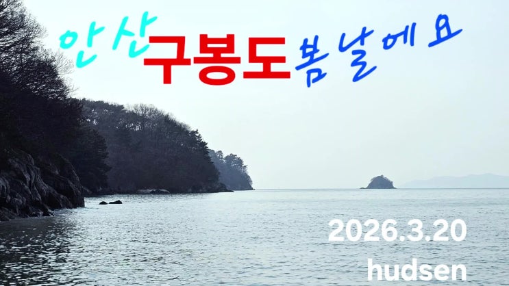 안산 구봉도_봄 노루귀 2026.3.20 : 네이버 블로그