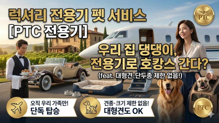  강아지 고양이 전용기 탑승 가능｜대형견·단두종도 가능한 펫 해외이동 서비스