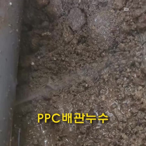 대구 서구 비산동 주택누수 수도요금 과다하게 나온 원인을 마당에 ppc배관 누수로 밝혀낸 사례