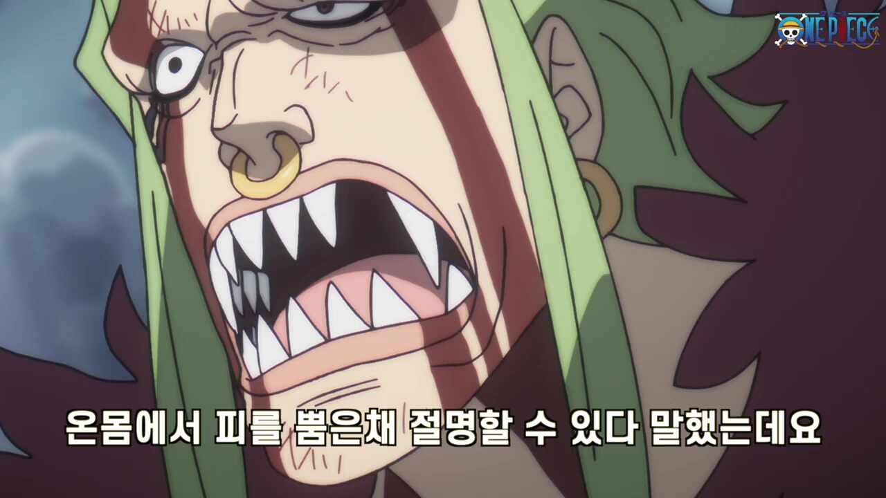(원피스 애니 1156화) 드디어 시작하는 엘바프편 애니..그리고 바르톨로메오 해적선을 저격해 ....