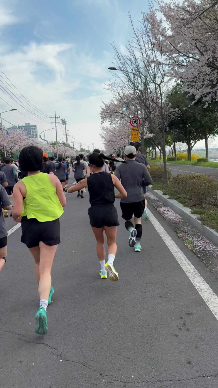 제12회 나주영산강 마라톤대회 하프마라톤 후기