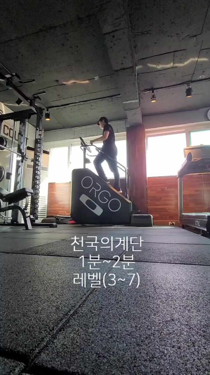 혈당개선운동.하체강화.심폐강화 3종세트 소개(스텝밀,레그프레스,월싯)