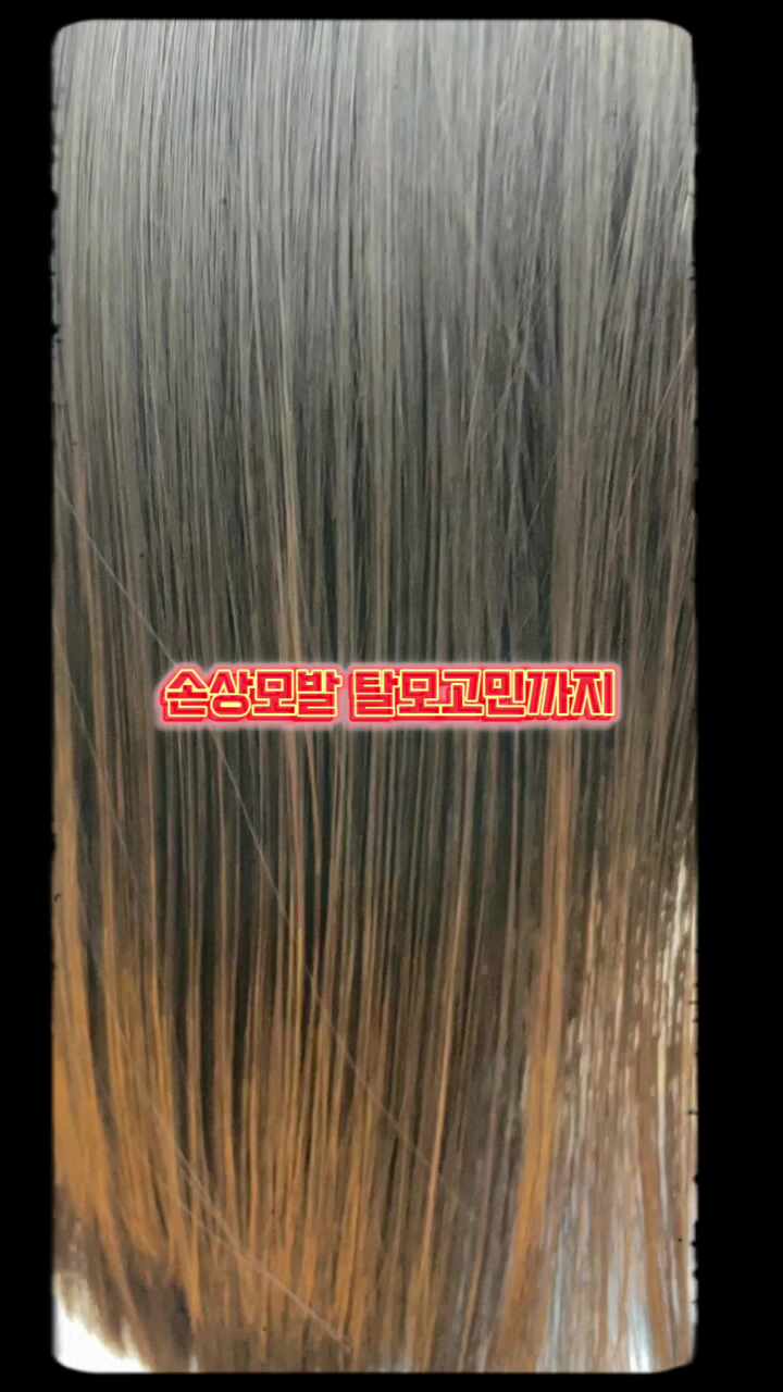  머릿결은 살리고 숱은 채우고! 르네시떼 복구클리닉+탈모커버펌 인기 폭발 이유 / 감전주례엄궁모라하단당리괴정명지대저가락녹산우동중동송정망미수영광안기장장안용호문현장전부곡서동수정좌천