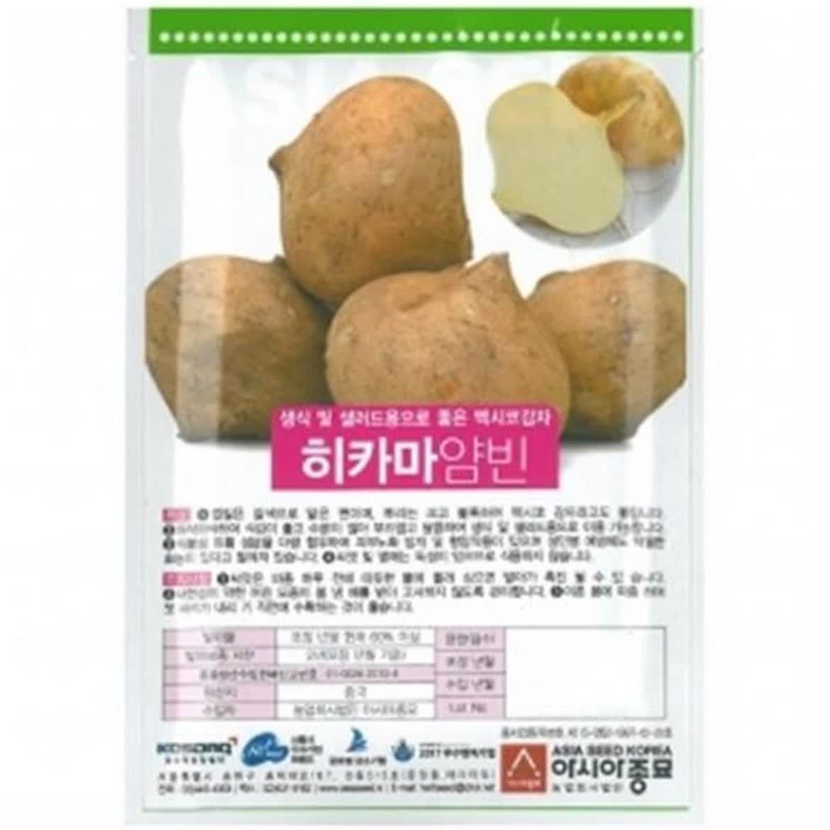 아시아종묘 씨앗으로 만나는 신비한 멕시코감자