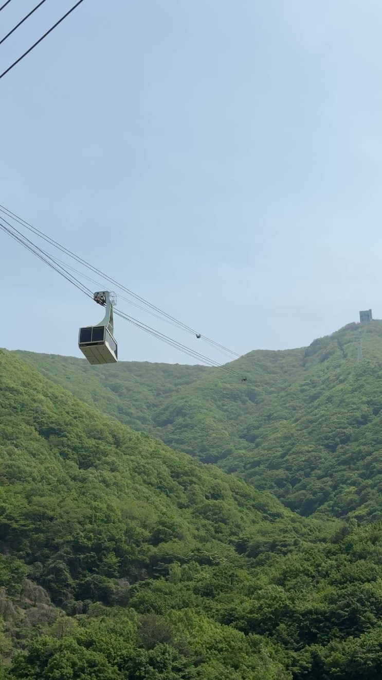 영남알프스 얼음골 케이블카, 10분 만에 만나는 해발 1,189m 천황산의 절경! (주차, 상하부 매점, 등산 코스 총정리) ️