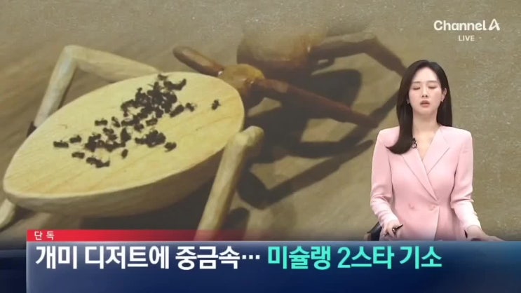 신사동 <b>미슐랭 2스타</b> 레스토랑 개미 디저트 <b>식품위생법 위반</b>... 