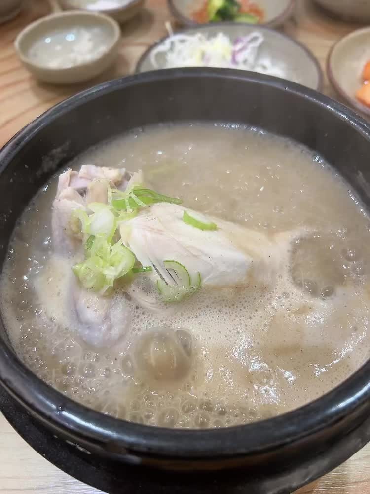 [창원맛집] 창원 상남동 삼계탕전문점 삼계탕맛집 '국화'