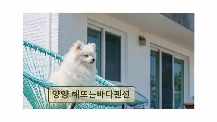 양양 해뜨는바다펜션 오션뷰와 함께한 특별한 휴식