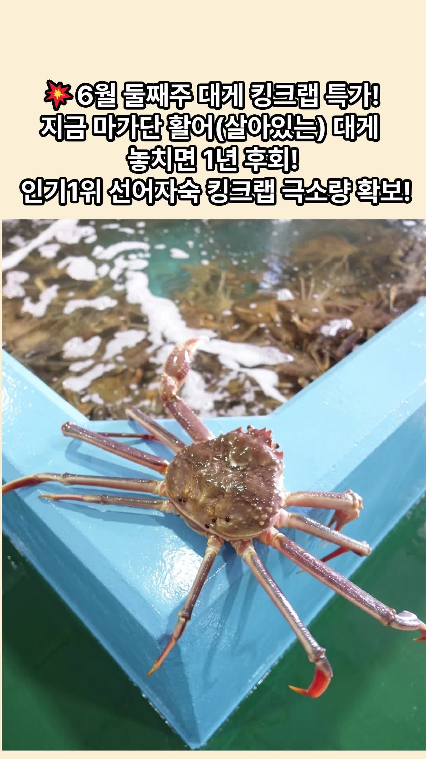 [6월 둘째주] 러시아대게 가격 연중최저가 사수! 지금 마가단 활어 대게 놓치면 1년 후회