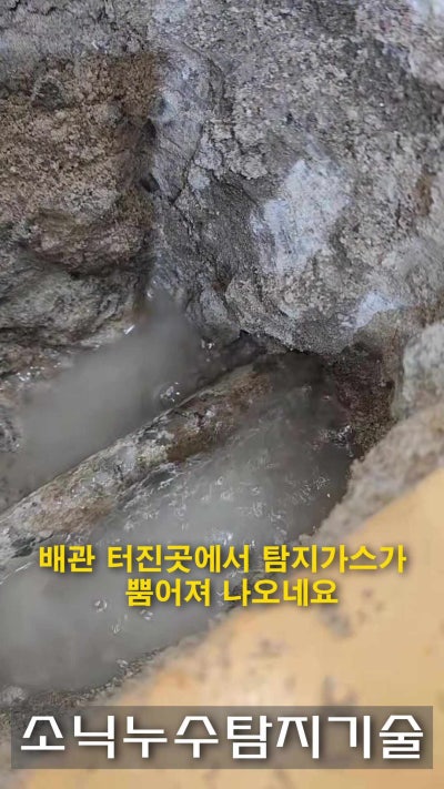 대구 수성구 누수탐지 현장 1 — 수성구 지산동 주택누수 현장에서 일상생활배상책임 보험 적용이