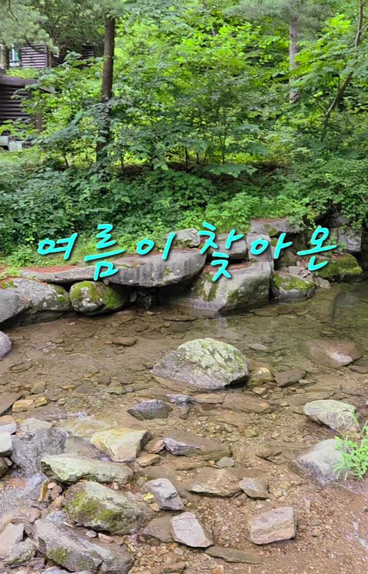 [가평 여행] 국립 유명산 자연휴양림1박 이용 후기. 주차정보