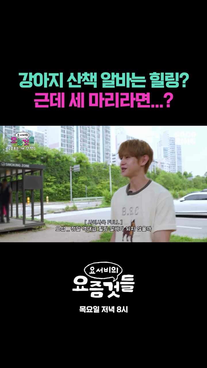 양요섭 요서비의 요즘것들 EP8 모르는개산책시키기 하이라이트 CUT