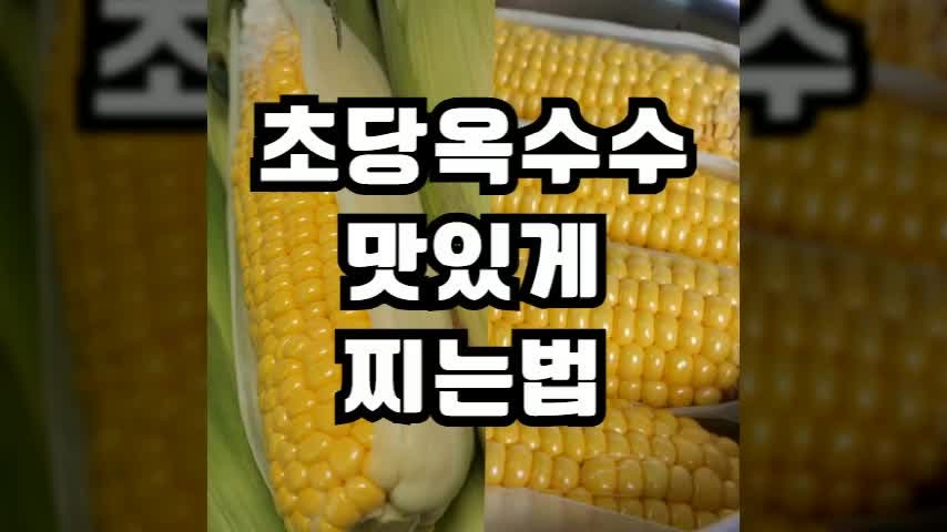 초당옥수수 삶는법 찌는법 및 전자레인지 활용법 (전자렌지 시간)