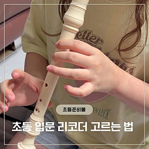 초등학교 입문용 리코더 고르는 법! 야마하 저먼식 YRS-23G 내돈내산 후기