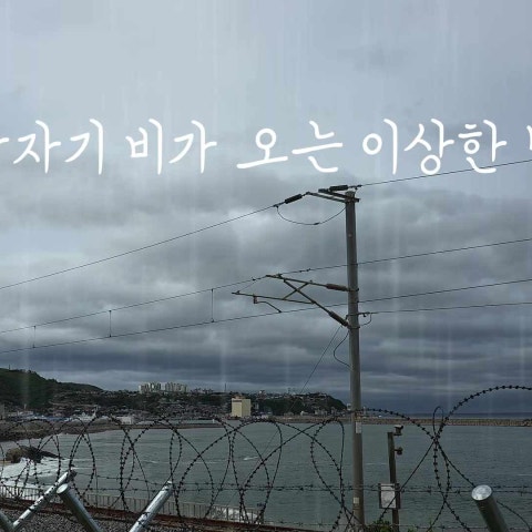 [제3기 동해청년유튜버] 동해여행, 비 와도 괜찮은 이유 #갤러리바란