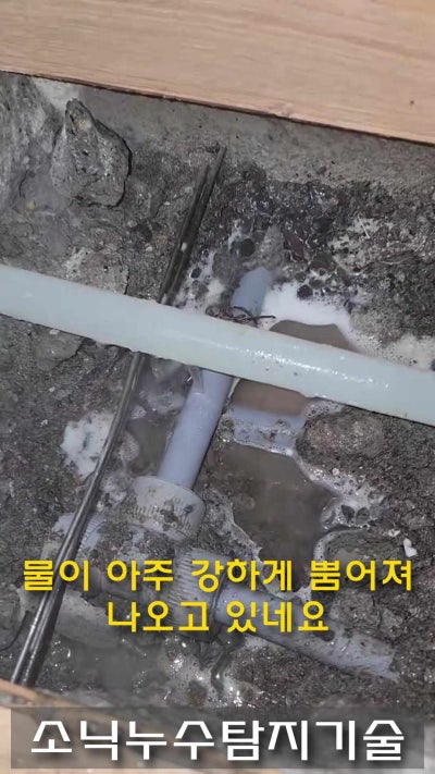대구 동구 누수탐지 현장 1 — 대구누수 동구 율하동 빌라 누수탐지 공사비를 일상생활배상책임보