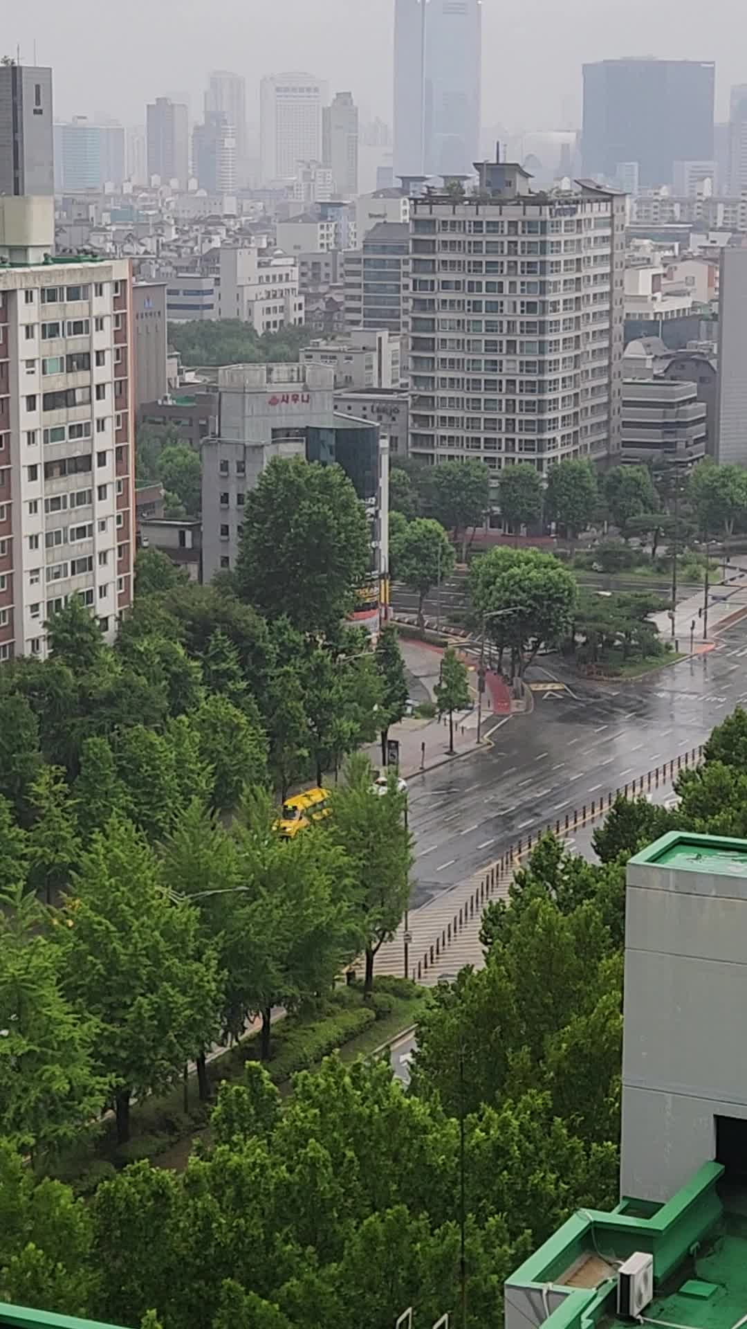 프로야구장 날씨…장맛비에 부산·대구만 개최 확실