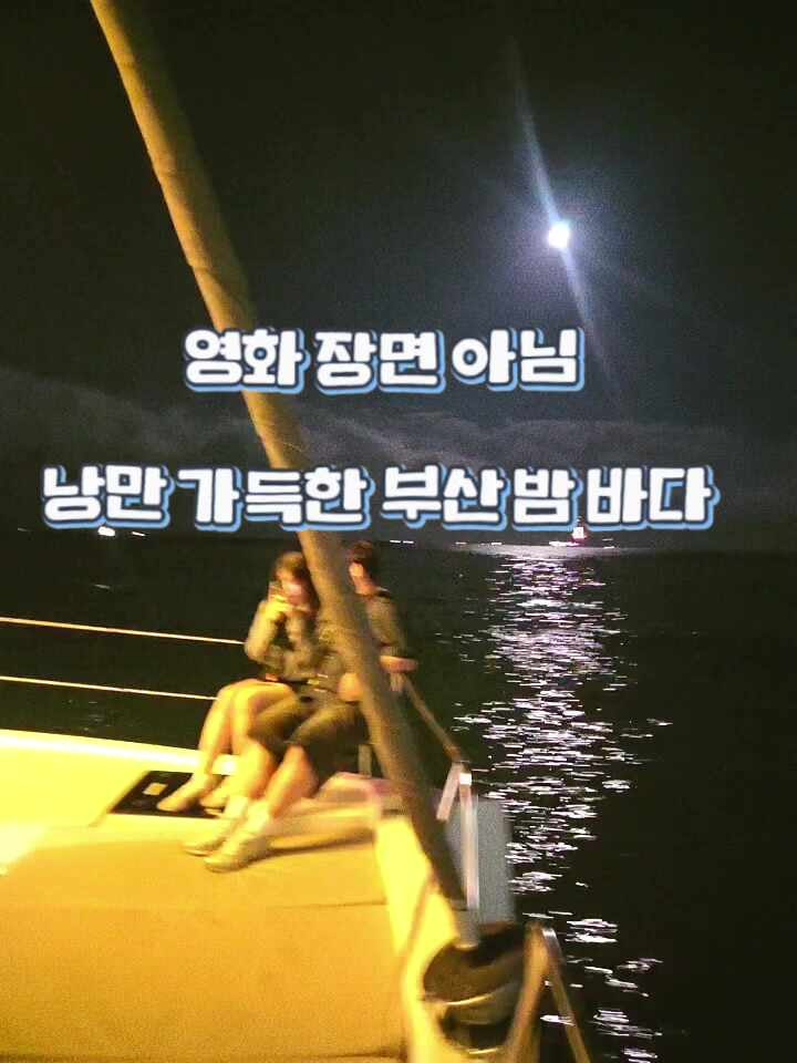 부산 야경 명소 추천/ 더베이 101 요트투어 직접 타보니 왜 인기인지 알겠더라.