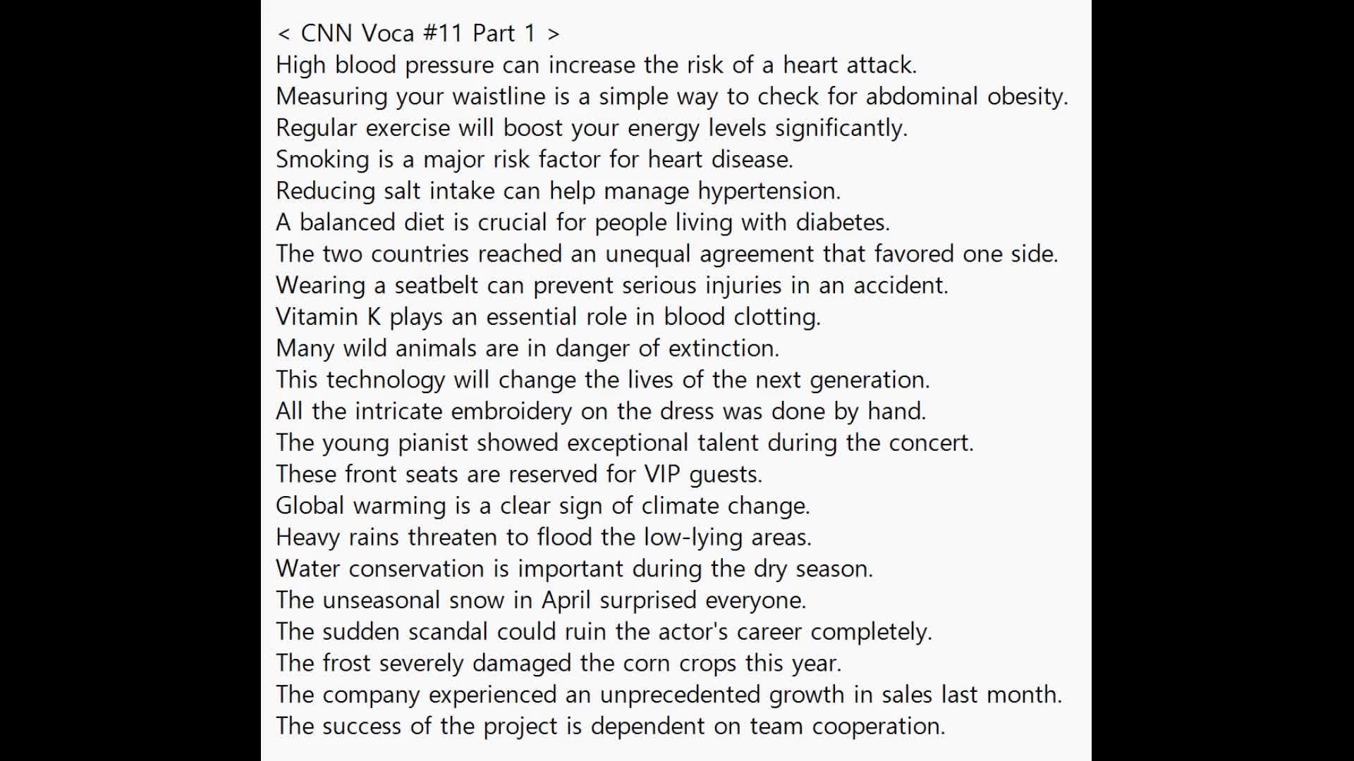 [CNN 뉴스 어휘집] CNN News Voca #11