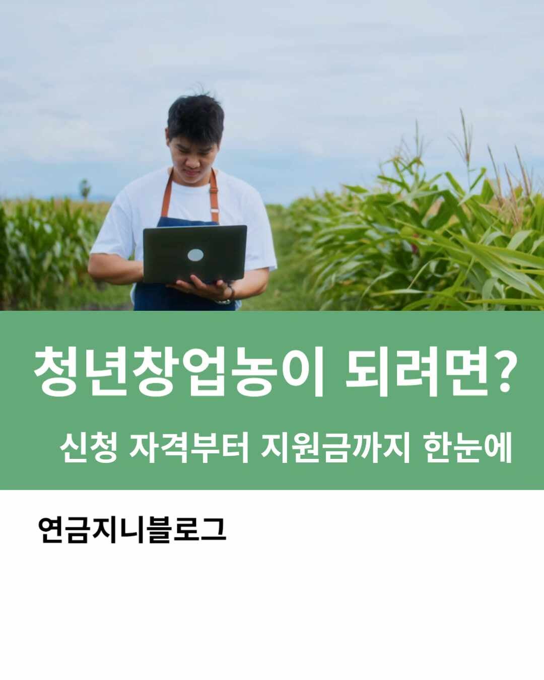 청년창업농이 되려면?신청 자격부터 지원금까지 한눈에