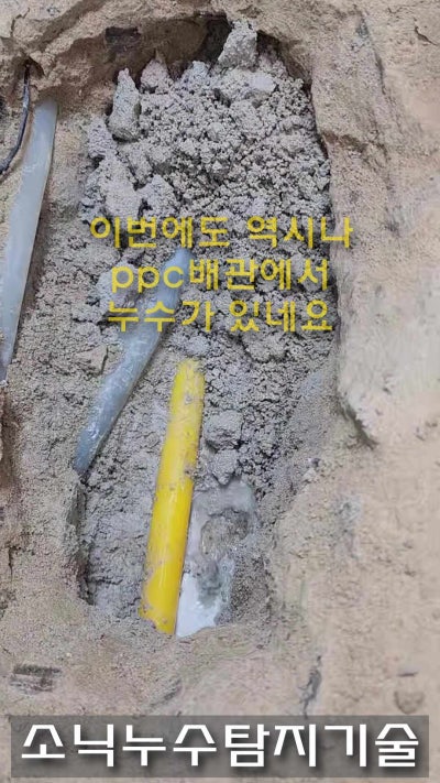 각산동 아파트, 몇 달 만에 다시 젖은 아래층 천장 — 주방 바닥 냉수 배관 교체 기록 현장 사진 1